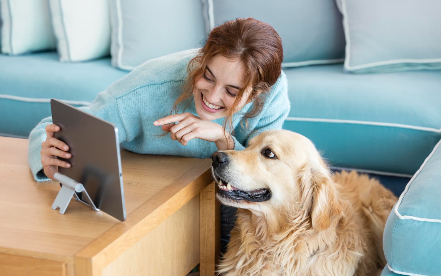 Furdoo Blogs