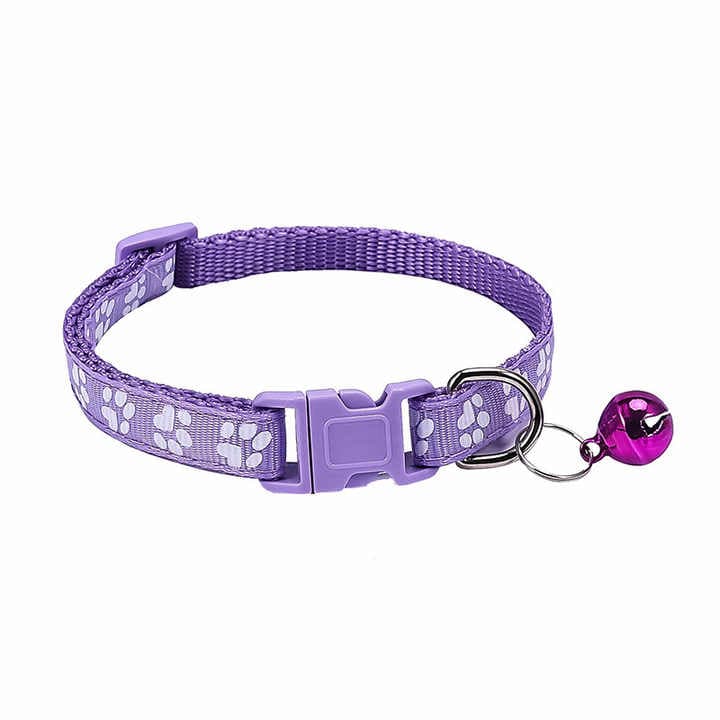 Pet Collar