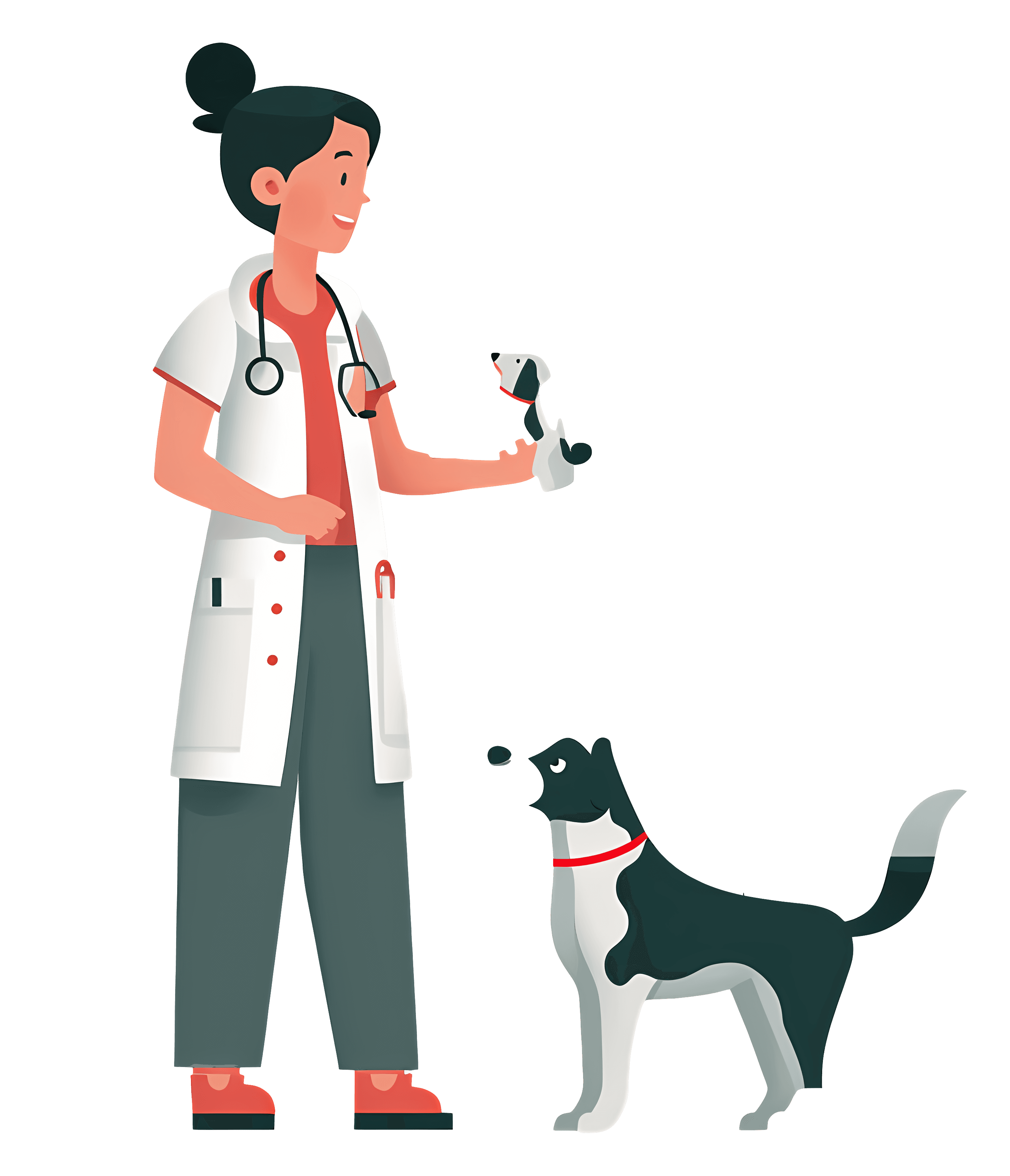 Vet Consultancy